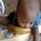 Saadan Istafa Arofli, 8 Bulan; Lelaki; m