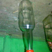 Warga Temanggung Heboh Penangkapan 2 Tuyul 