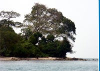 Pantai Merak Kecil