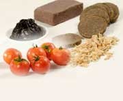 Umami - The Fifth Basic Taste