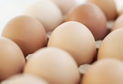 Susahnya Membedakan Telur Sehat dan yang Terinfeksi Bakteri