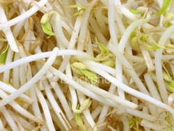 Jangan Remehkan Tauge!