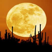 Dan Bulan Pun Mengerut