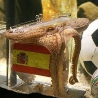 Inggris Ajak Paul Gurita Jadi Duta Piala Dunia