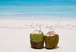 Air Kelapa Mengganti Cairan yang Hilang Saat Puasa