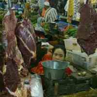 Awas! Daging Sapi Oplos Celeng Marak di Jember