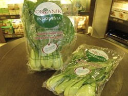 Sawi Organik Teman Sahur yang Sehat