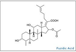 Fusidic Acid