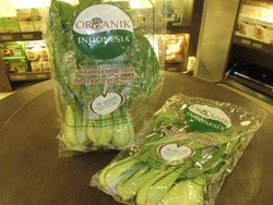 Sawi Organik Teman Sahur yang Sehat