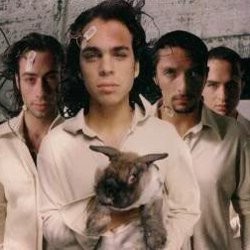 Pra Java Rockin Land, Arkarna Akan Konser di Bandung