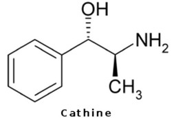 Cathine