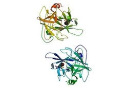 Tenecteplase (TNK-tPA)