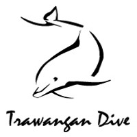 Ini Pembohongan Besar Trawangan Dive Tapi Ya Sudahlah 