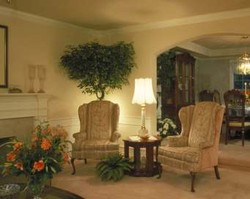 Posisi Tanaman Yang Sesuai Dalam Ruang Tamu