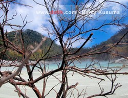 Kawah Putih Gunung Patuha