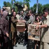 Masa Jabatan Berakhir, Bambang DH Pamitan 