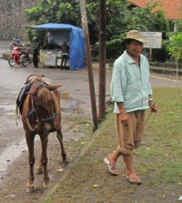 10 Kali Ramadan Udung Setia Bersama Kuda