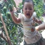 Alena Defaira Irawan, 7 Bulan; Perempuan; f
