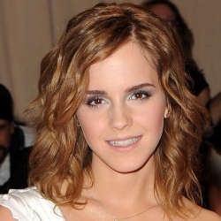 Pembuat Foto Porno Palsu Emma Watson Dilarang Ngenet