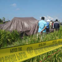 KNKT Bentuk Tim Penyelidik Jatuhnya Pesawat Cessna di Banyuwangi