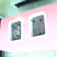 Meet Eater, Tanaman yang Butuh Cinta dari Facebooker