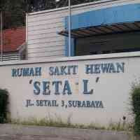 KBS Buka Rumah Penitipan Hewan Selama Lebaran 