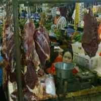 Permintaan Meningkat, RPH Sembelih 200 Ekor Sapi Tiap Hari 