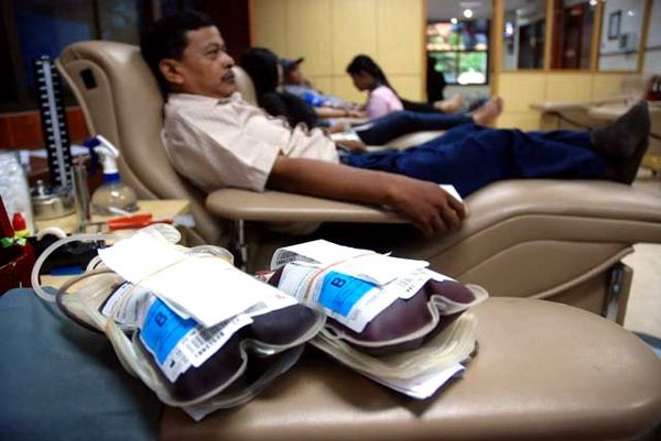 Stok Darah PMI Surabaya Aman