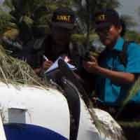 KNKT Periksa Bangkai Pesawat Cessna yang Jatuh di Banyuwangi