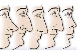 Bentuk Hidung Bisa Identifikasikan Karakter Seseorang