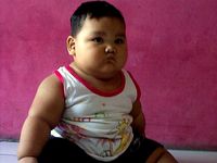 Zhaendy Bayi Raksasa dari Semarang