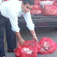 Polda Jatim Sita Daging Sapi Dioplos Babi Hutan