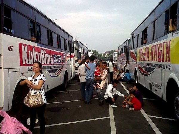 18 Ribu Pedagang Jamu Mudik Gratis
