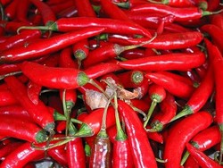 Cabai Merah Si Primadona Ramadan