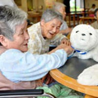 Robot Anjing Laut Jadi Terapis Manula 