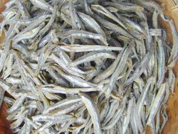 Lawar Ikan Teri Mentah