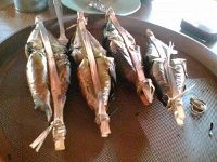 Pengkang