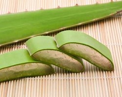 Cegah Kaki Kering dengan Lidah Buaya