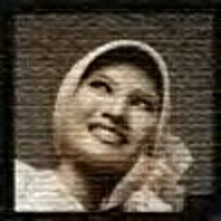 Travel Safari Darma Raya Tidak Layak untuk Perjalanan Jauh 