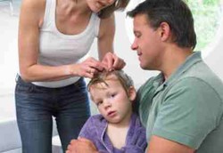 Jangan Kucilkan Anak Karena Punya Kutu Rambut