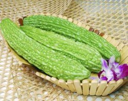 Sembuhkan Berbagai Penyakit Dengan Pare 