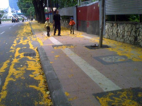 Guguran Kembang Sono Temani Lebaran
