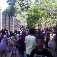 Pengunjung Kebun Binatang Naik Hampir 4 Kali Lipat