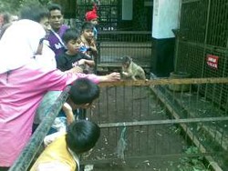 Jamin Kesehatan Satwa, Kandang Disemprot Disinfektan