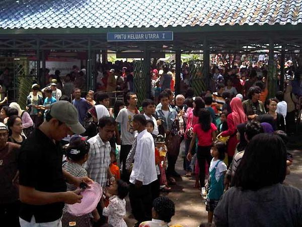 Ribuan Pengunjung Padati Ragunan Lagi