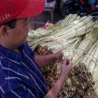 Janur Diburu Jelang Lebaran Ketupat