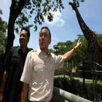 Menhut Nilai Kondisi KBS Memprihatinkan 