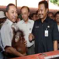 Revitalisasi KBS, Pemerintah Anggarkan Rp 10 Miliar 