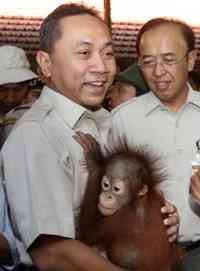 Disetujui Menhut, Jalan Lintas Selatan Dikerjakan 2011