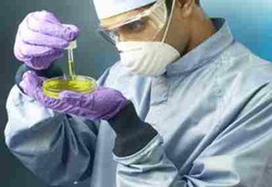 Pengembangan Antibiotik Alami Kemunduran 